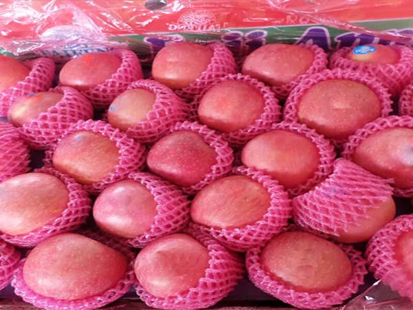 مزیت های استفاده از فوم توری بسته بندی میوه