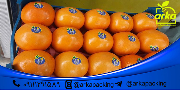 نحوه استفاده لیبل میوه برای پرتقال